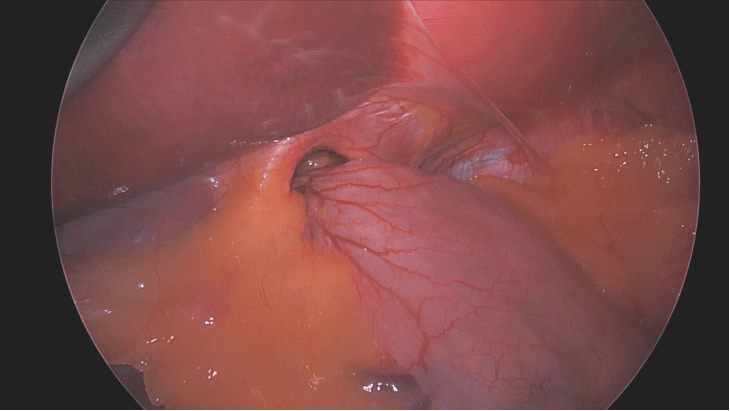 MEDICAL CONTENT FOR WEBSITE Copy17275